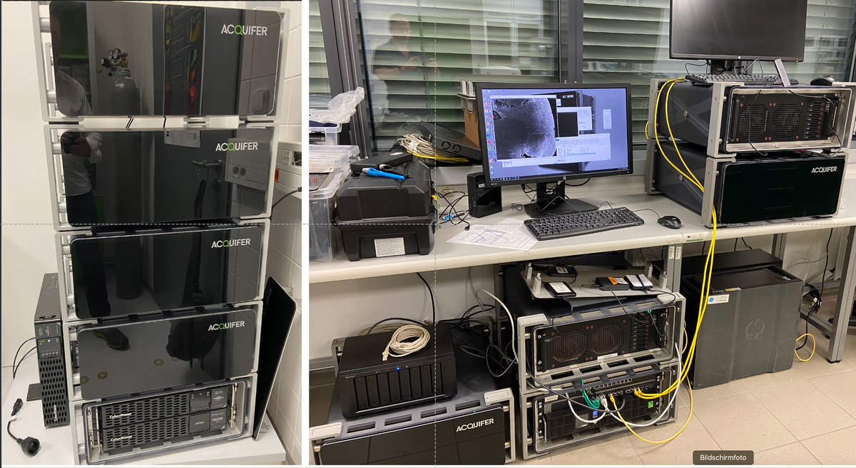 #LISH22-last night before presentations of #students 2 weeks projects. Imaging experiments ended, microscopes are packed up, @myacquifer #HIVEs are still humming like crasy on 30(+) TB #LSFM #imagedata #processing & #analysis #EMBOCourse @Ceitec_CellimCF. Tomorrow: show time!