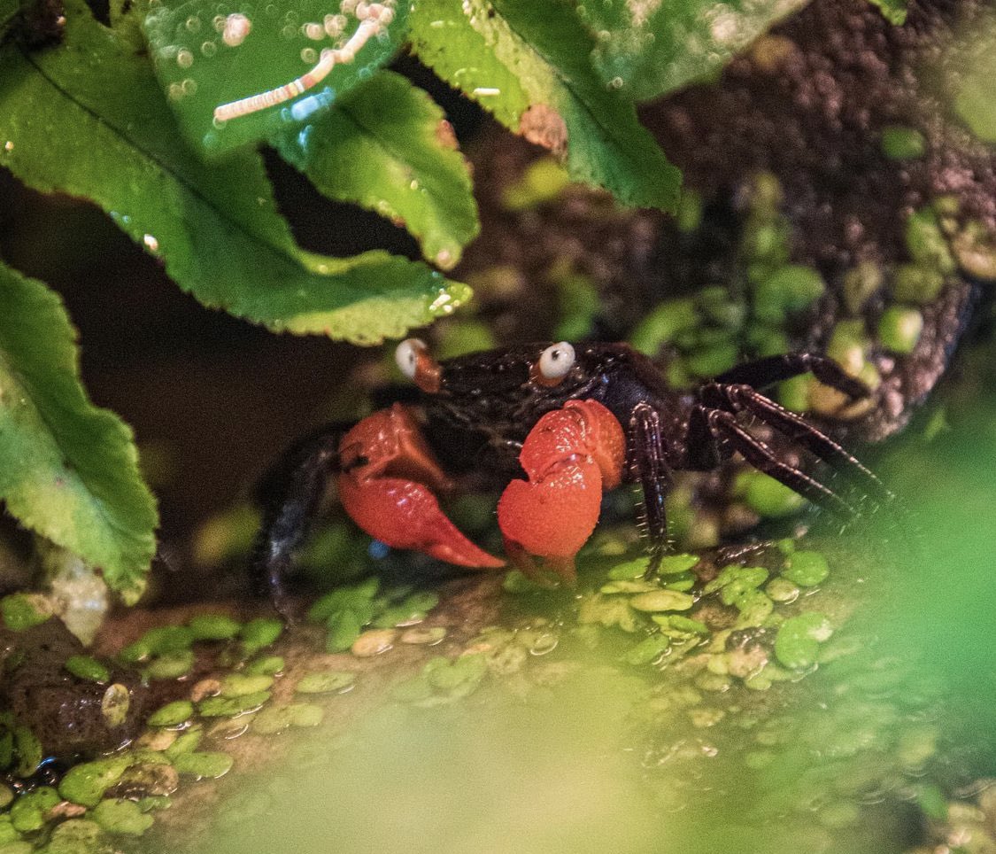 🦀 Thursday, August 25th, 2022 🦀

📸: Lee Kevin G