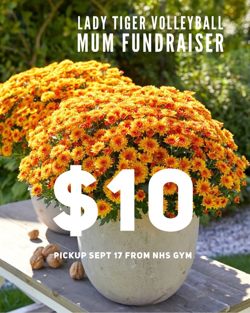 Get your mums!!