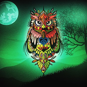 seanakinnear's tweet photo. New NFT design OWLs https://t.co/zU2KJNTbQ0