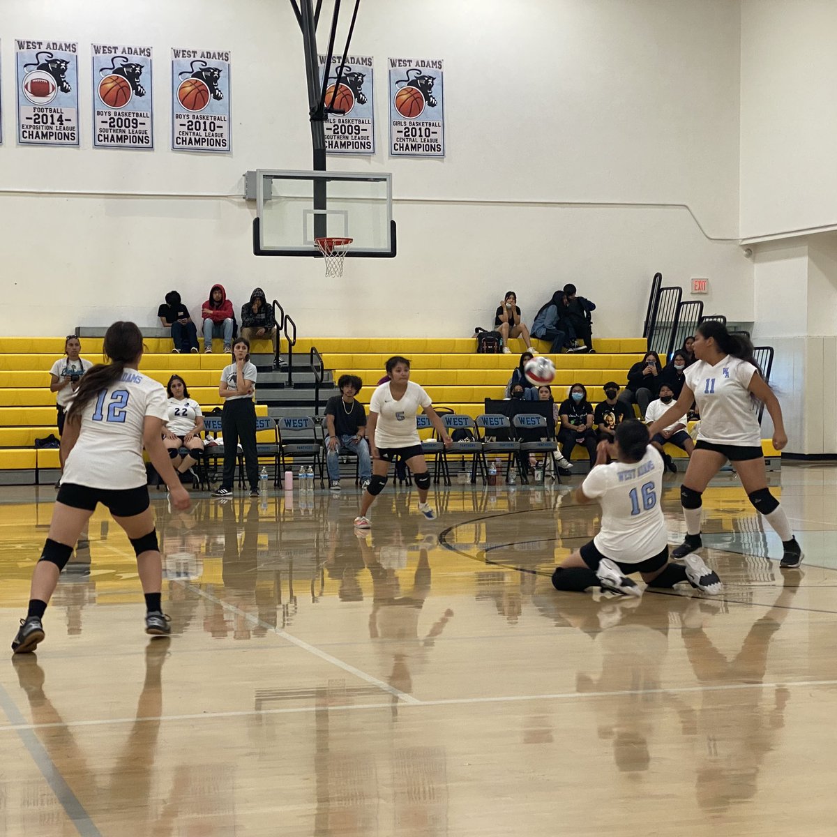 WestAdamsPrepHS's tweet photo. @WestAdamsPrepHS Girls Volleyball vs. @HollywoodSheiks. Let’s go Panthers! https://t.co/kIQVkbg1d6