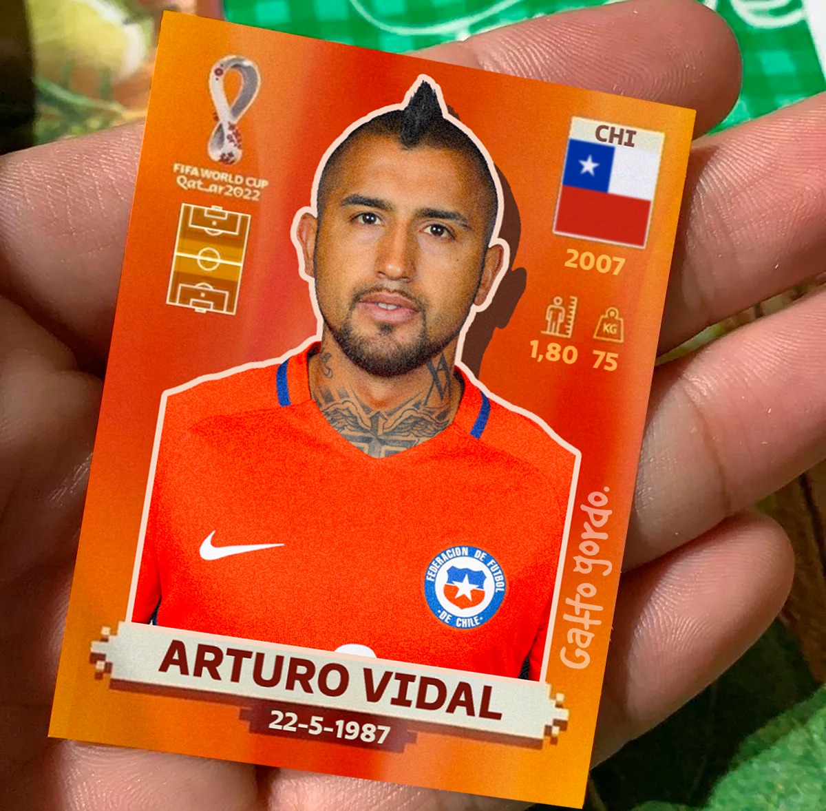 Me parece que el kiosquero nos cagó, compramos figuritas del mundial y nos tocó esta de Arturo Vidal 😄😄