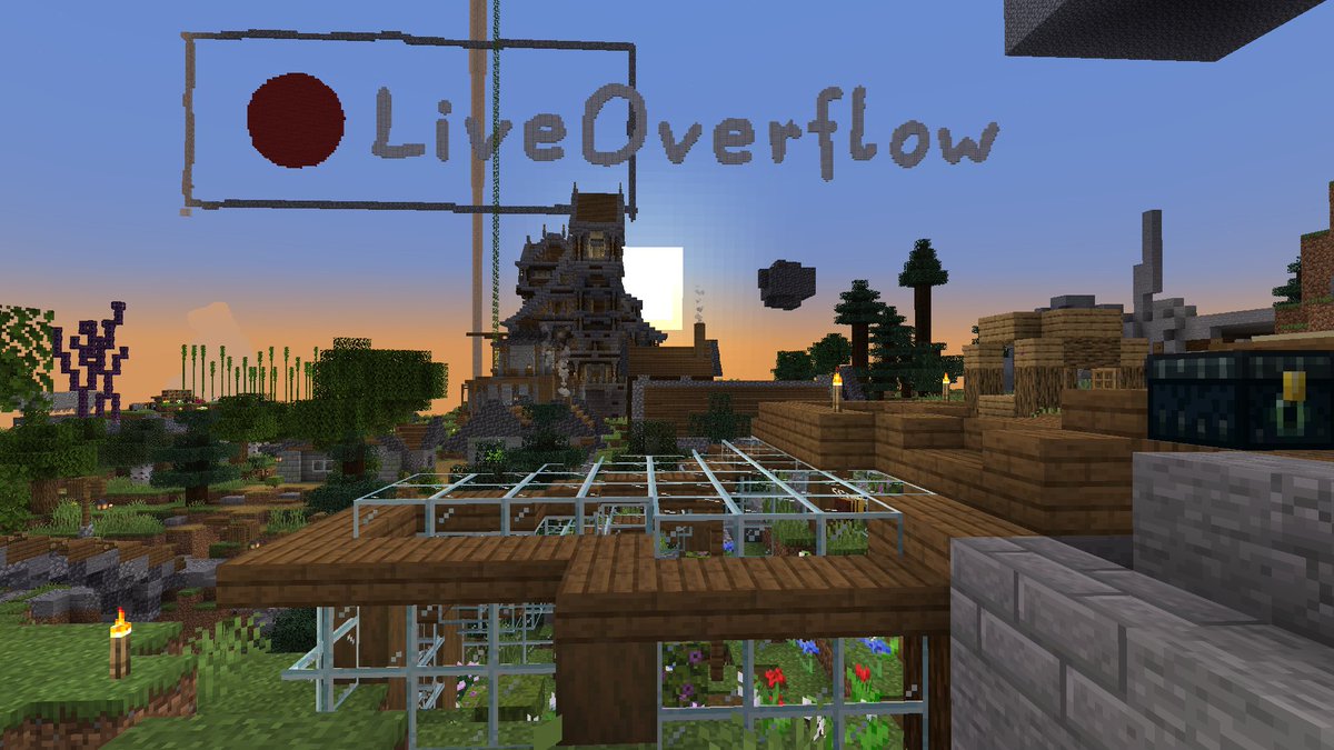 I have finally found @Liveoverflow's hidden Minecraft server :D