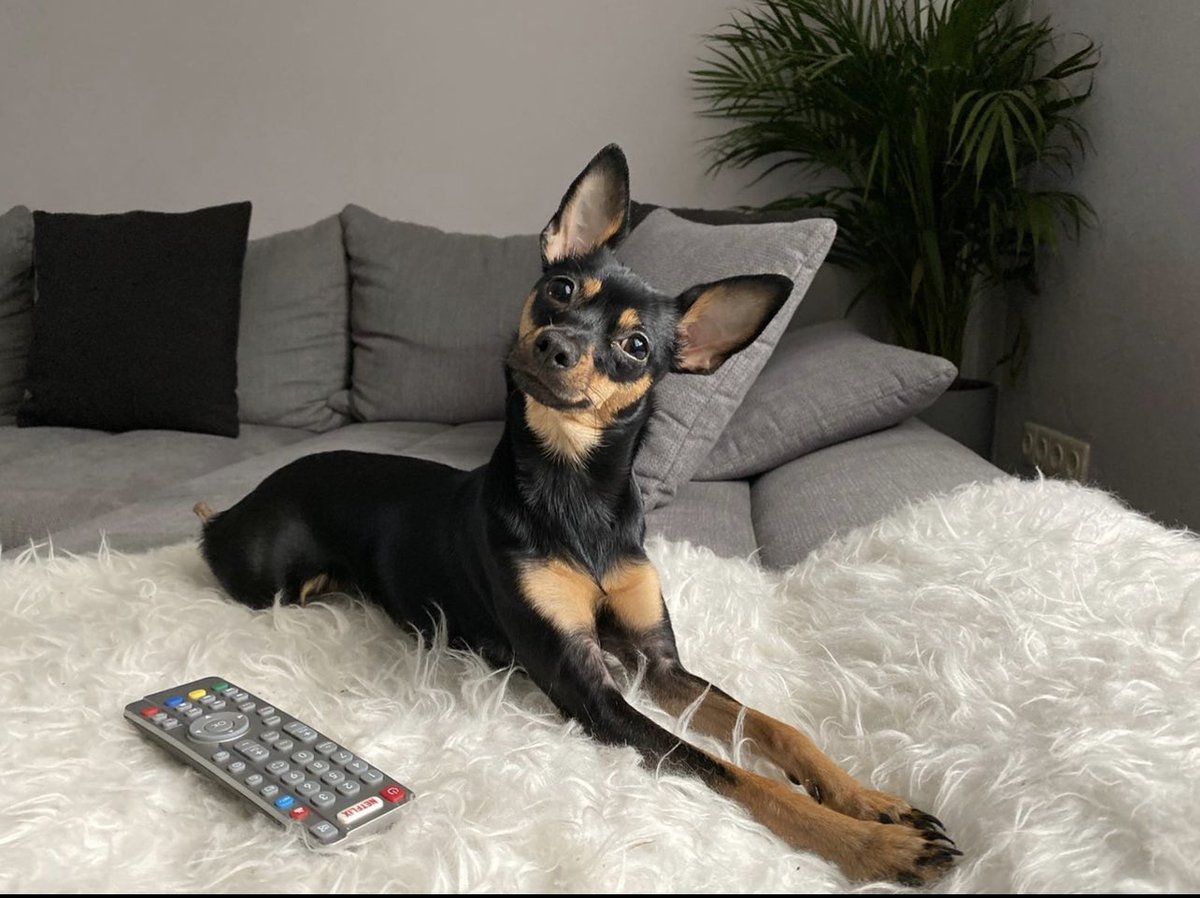 Amara | UGC Baddie & Coach 🇩🇪🎬 tweet media