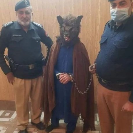 acervopaysandu's tweet photo. URGENTE! 🚨
Foi preso agora a noite no bairro do Guamá o mascote do Paysandu vulgo lobo mau, segundo informações o meliante se envolveu em uma briga de bar na região. O mascote é um desfalque confirmado no próximo jogo contra a equipe do ABC na Curuzu. #FreeLobo ✊🏻 https://t.co/ZdAHUoJNZh