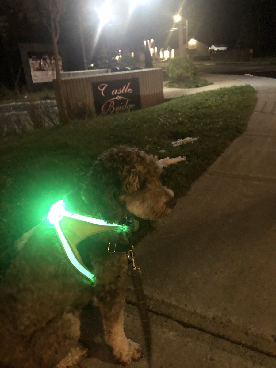 It’s the season again people and dog walkers! Be safe. Light the earlier darkness with <a href="/noxgear/">noxgear</a> #septemberiscoming