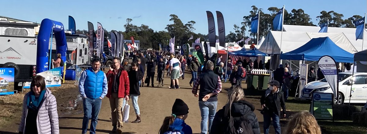 Mark Bennett tweet media