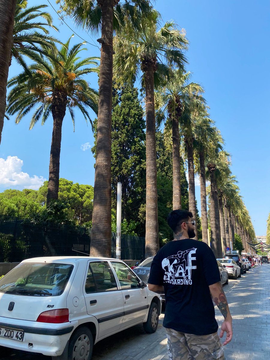 MG (@qvenc) on Twitter photo 