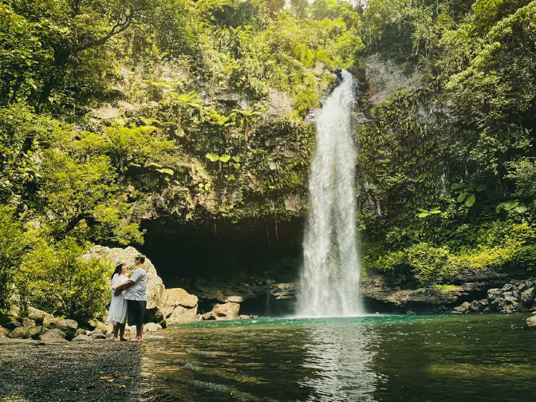 FijiTaba's tweet photo. Thank you Leah and Robert for choosing us to capture your special day. #fiji #tourismfiji #wedding #taveuni #boumawaterfalls #tabafiji https://t.co/3Ozj9ol07F