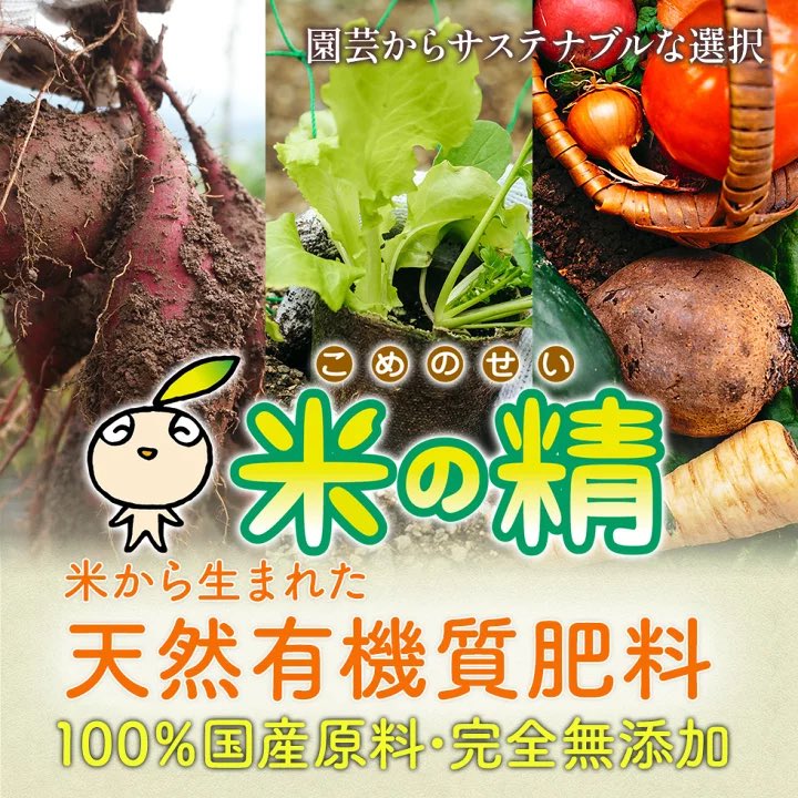 東洋ライス【公式】 on Twitter 