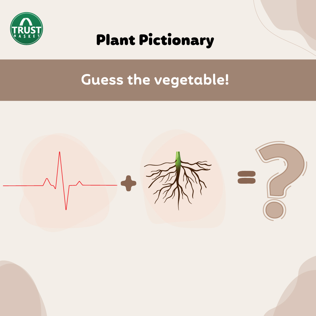 TrustBasket's tweet photo. Connect the pictures and guess the word hidden in them🥳.
Share with your friends and have fun!!!😉.
Visit: https://t.co/Fsjmjy4jyA https://t.co/NUFD0B424p