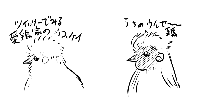 図です 