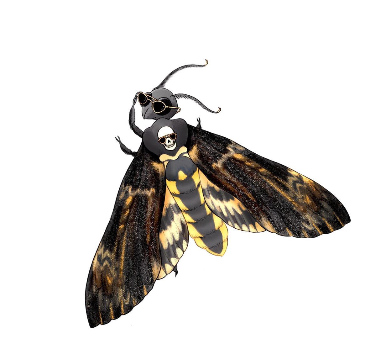 Yash Sondhi tweet media