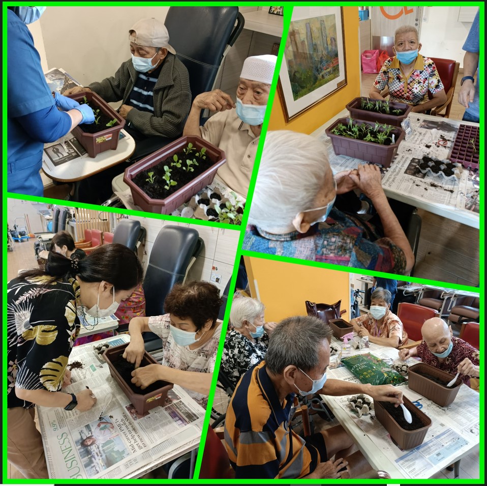 THKNH_LTD's tweet photo. Today we "unearthed" so many gardening enthusiasts amongst our seniors in the programme with East Coast Grows For Good &amp; Filos Community Services.  
#THKNH #THKSCC #ConnectingCommunities #Volunteering #EastCoastCares #GreenEastCoast https://t.co/QxVxBMw4DD