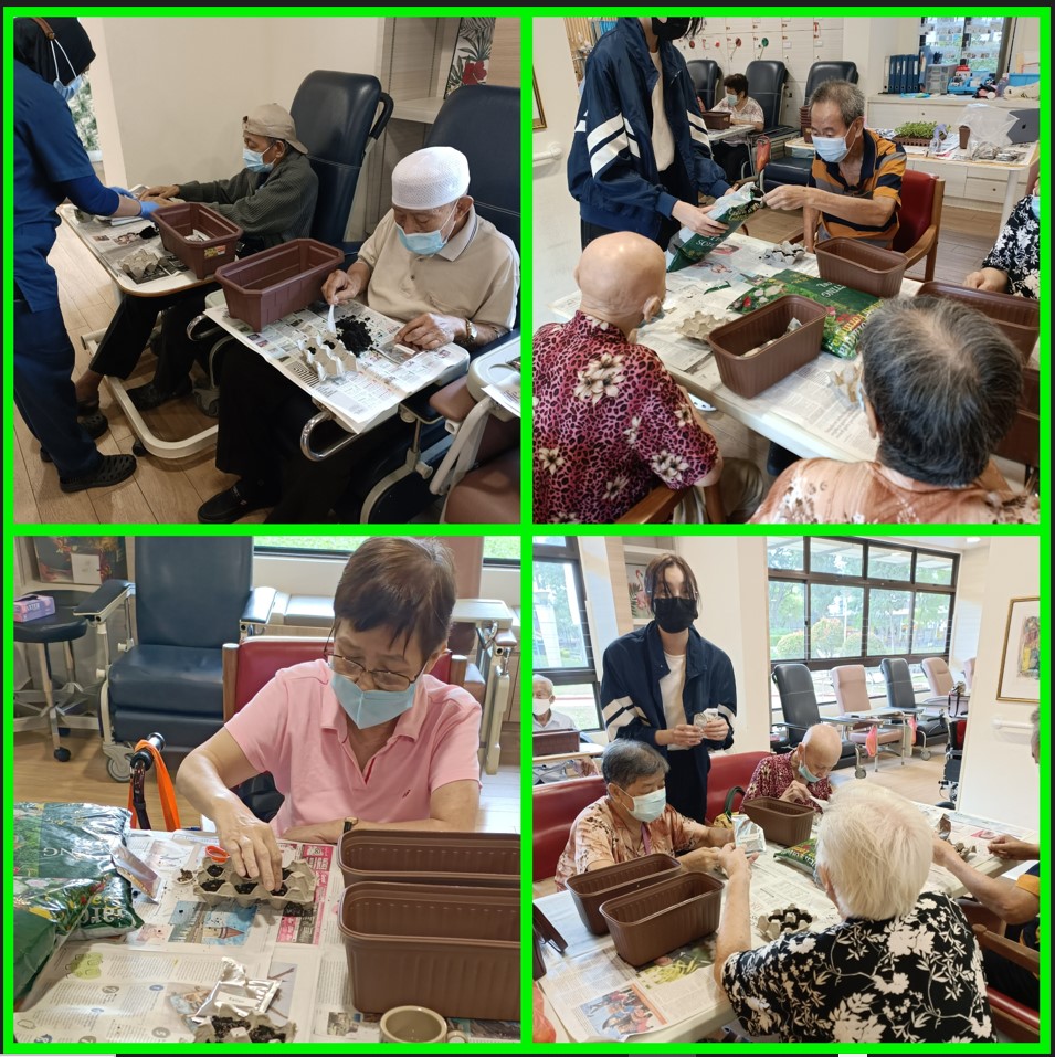THKNH_LTD's tweet photo. Today we "unearthed" so many gardening enthusiasts amongst our seniors in the programme with East Coast Grows For Good &amp; Filos Community Services.  
#THKNH #THKSCC #ConnectingCommunities #Volunteering #EastCoastCares #GreenEastCoast https://t.co/QxVxBMw4DD