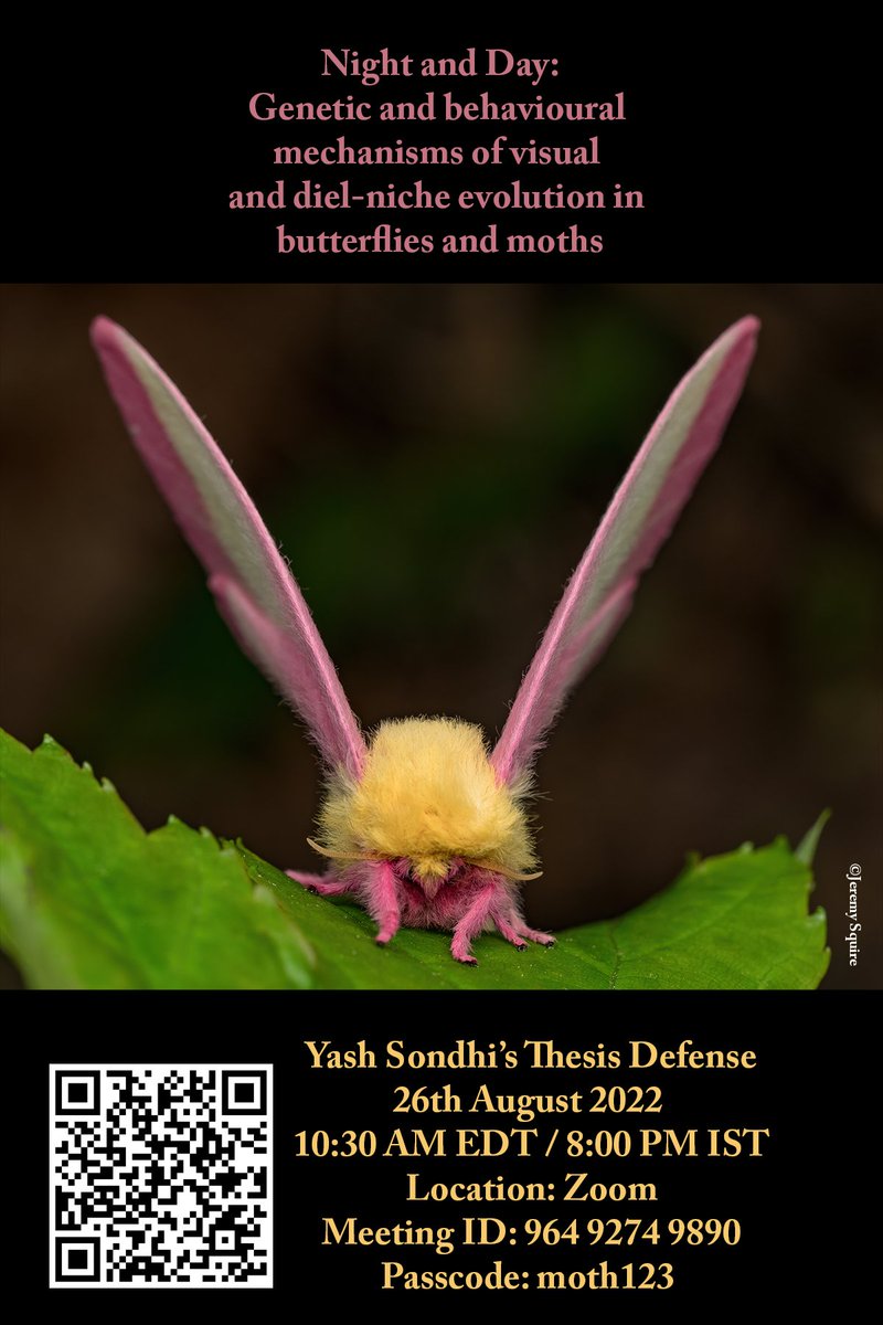 Yash Sondhi tweet media