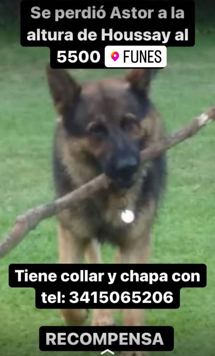 Por favor difundir 🙏🙏