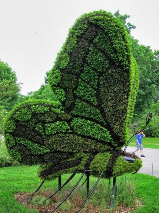 ElenaGrin6's tweet photo. What a beautiful Topiary friends. Ease to you today. 🦋🦋🦋🦋🦋🦋🦋🌞🌈🤗🥰💕🕊🙏🏻 https://t.co/L0EUnZrm1R