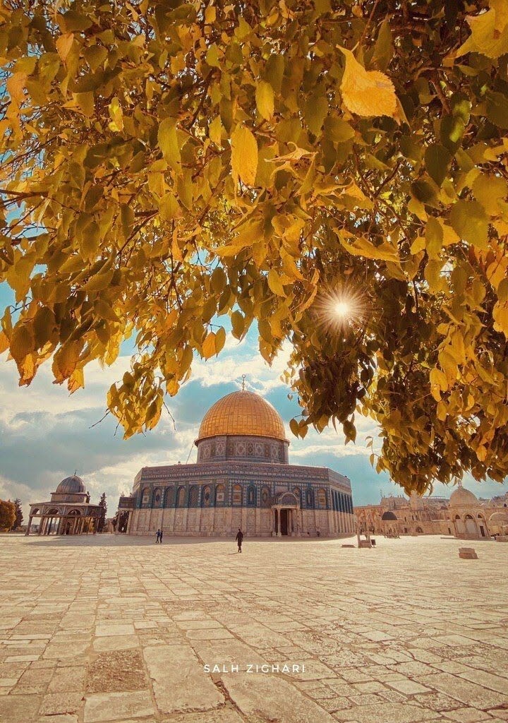 Cumamız mübarek, kalbimiz Kudüs'le 🌹