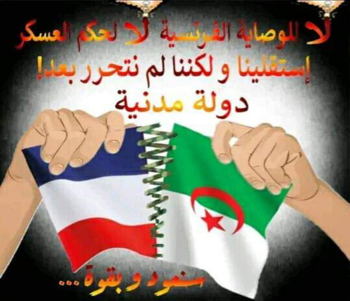 دولة مدنية ماشي عسكرية🇩🇿 tweet media