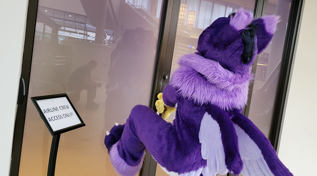 JayTheGryphon's tweet photo. let me in
leT ME IIIIIII- https://t.co/ASmHldWyWc