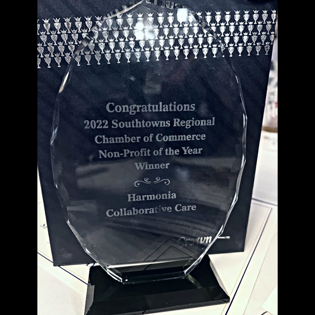 We are thrilled to have won Non-Profit of the Year!  We can't thank the Southtowns Regional Chamber of Commerce enough for their support.  Congratulations and thanks to the winners and all nominees.

📷The Harmonia Team

#lifewithbalance #smallmomentsmatter