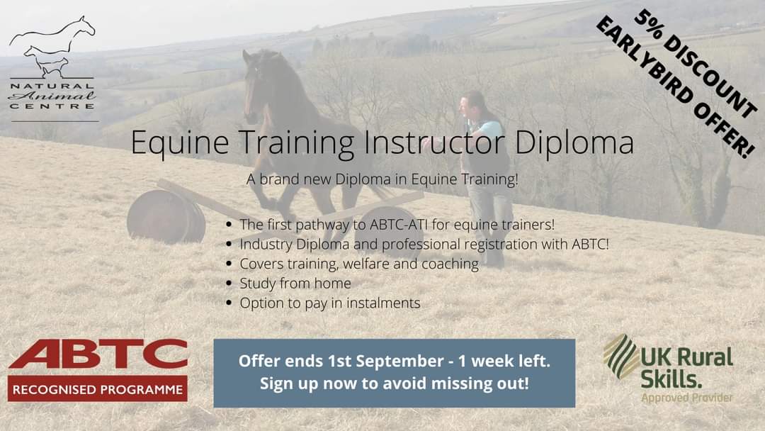 Don't miss our early bird offer, ends 1st September. Study for your new career as a recognised, industry accredited equine training instructor.
