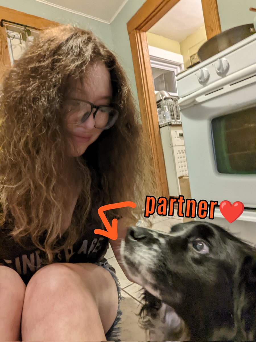 myš 🐭 tweet media