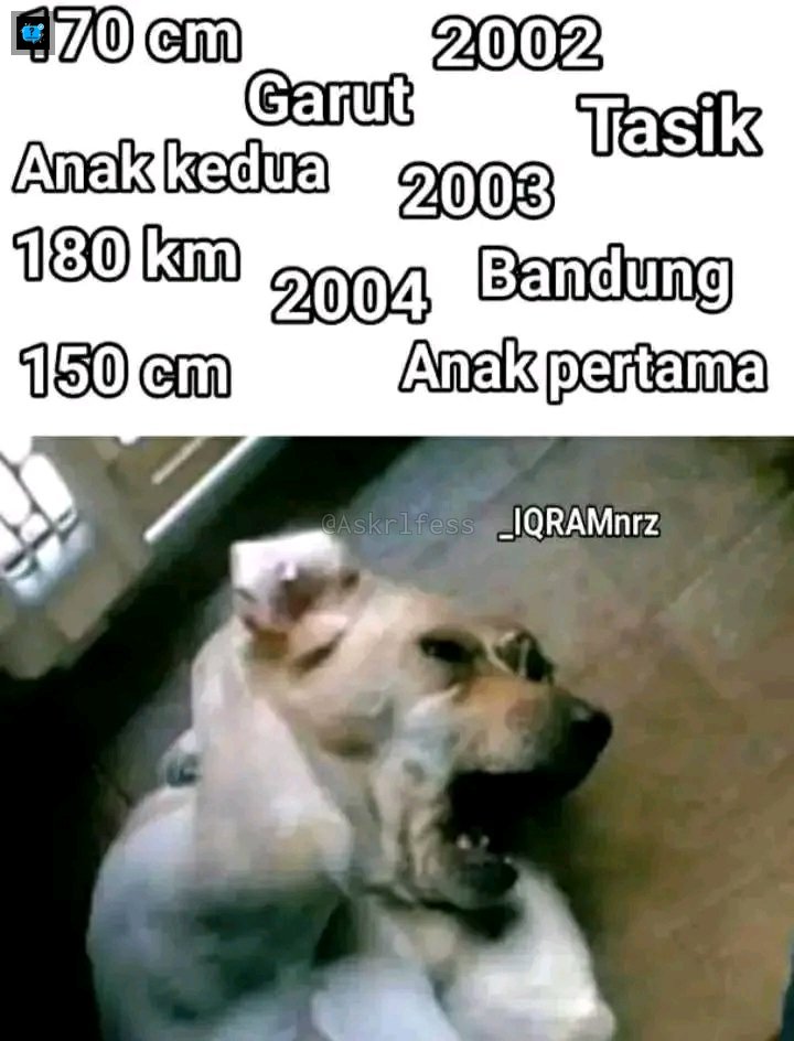 [askrl] pagi ku hari ini