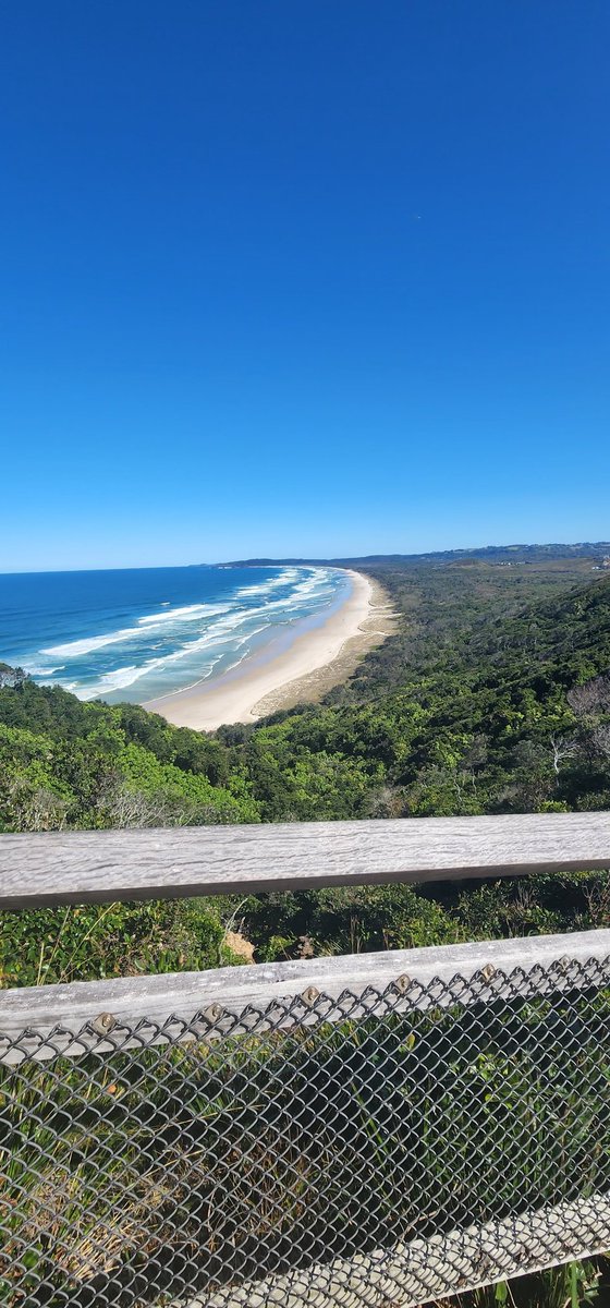 Derek de Stacpoole tweet media