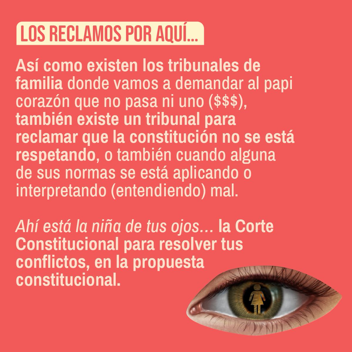 ConstiEnCorta's tweet photo. ... bueno en esta corte no participan burros 🐴, serían 11 personas que defienden lo que dice la Constitución.

No se confunda y aprenda #EnCorta... https://t.co/4UGXn3j8ty