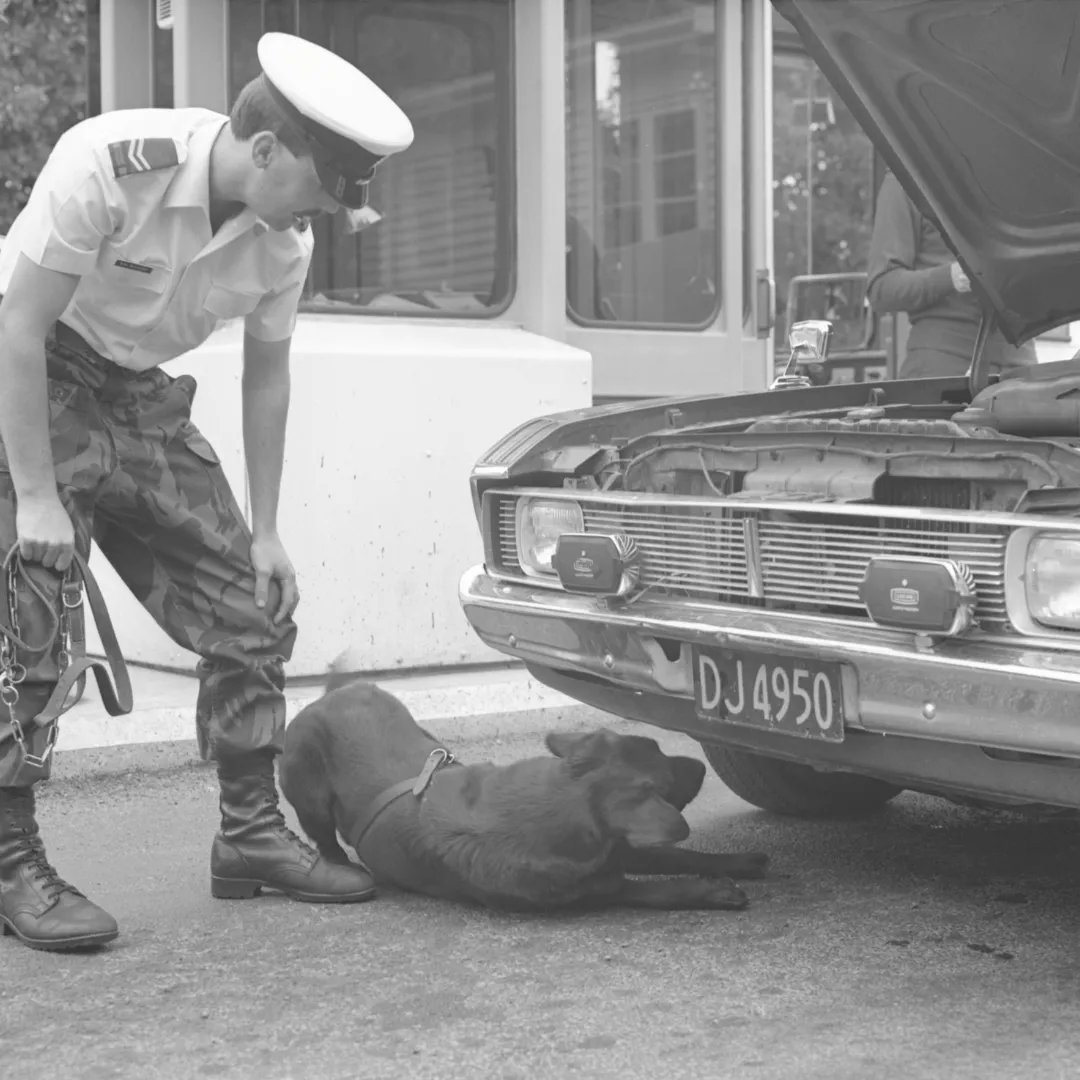 Happy National Dog Day! 🐶

We wonder what the good boy in this photo was looking for...

Discover more images in our online photo library ▶ buff.ly/33klpLh

📸: RNZAF Official, Ref JSPRO38-R2-16-85 

#AirForceMuseumNZ #airforce #nzairforce #dog #nationaldogday