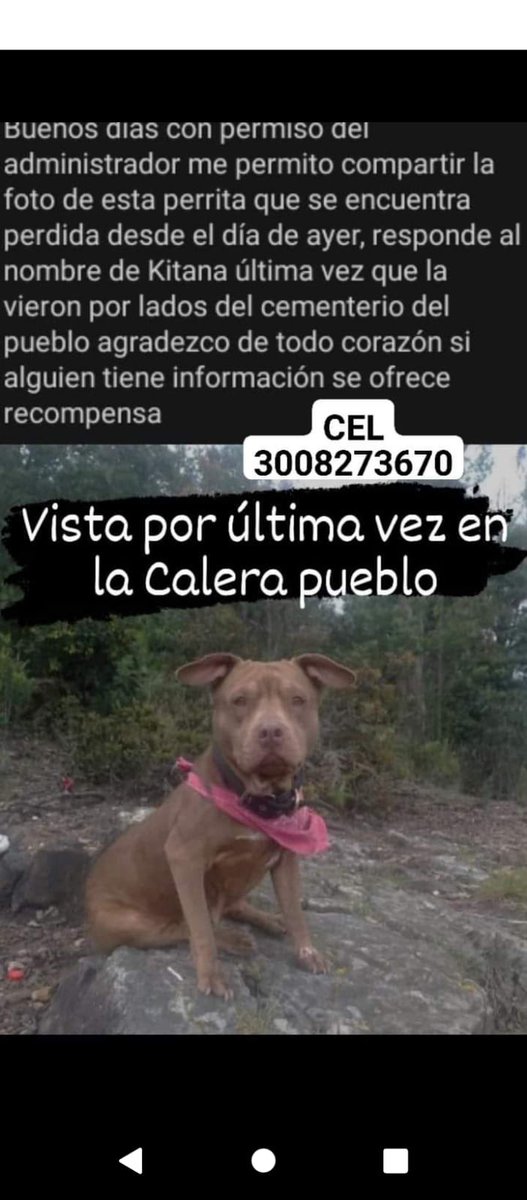 Marce_Tabares's tweet photo. 🆘 #LaCalera pueblo. Se busca a #Kitana vista cerca del cementerio. 👇👇 https://t.co/yL7PXHNS0L