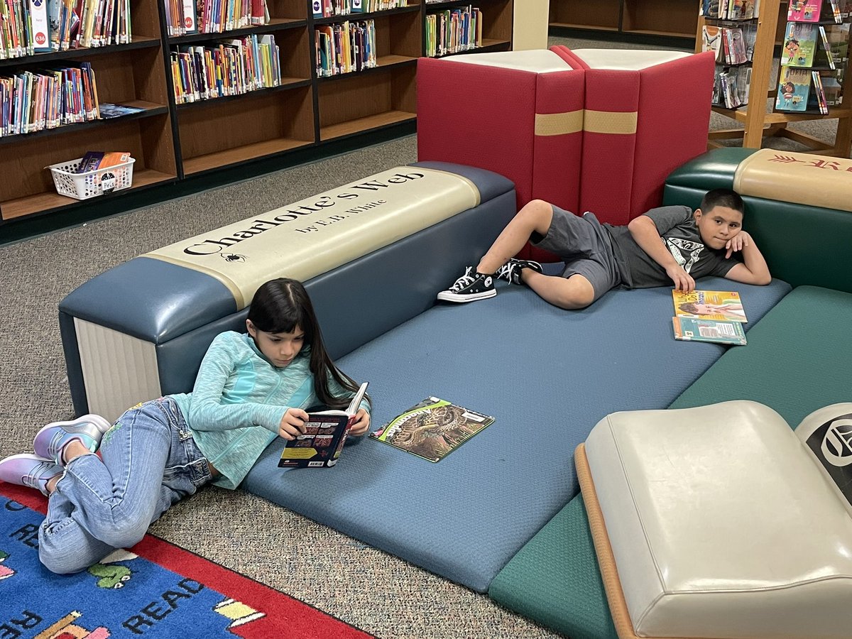 Young Elem Library tweet media