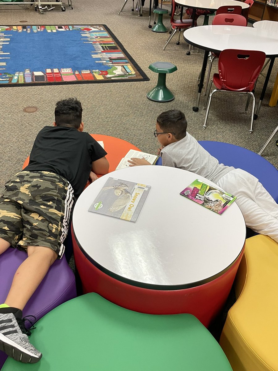 Young Elem Library tweet media