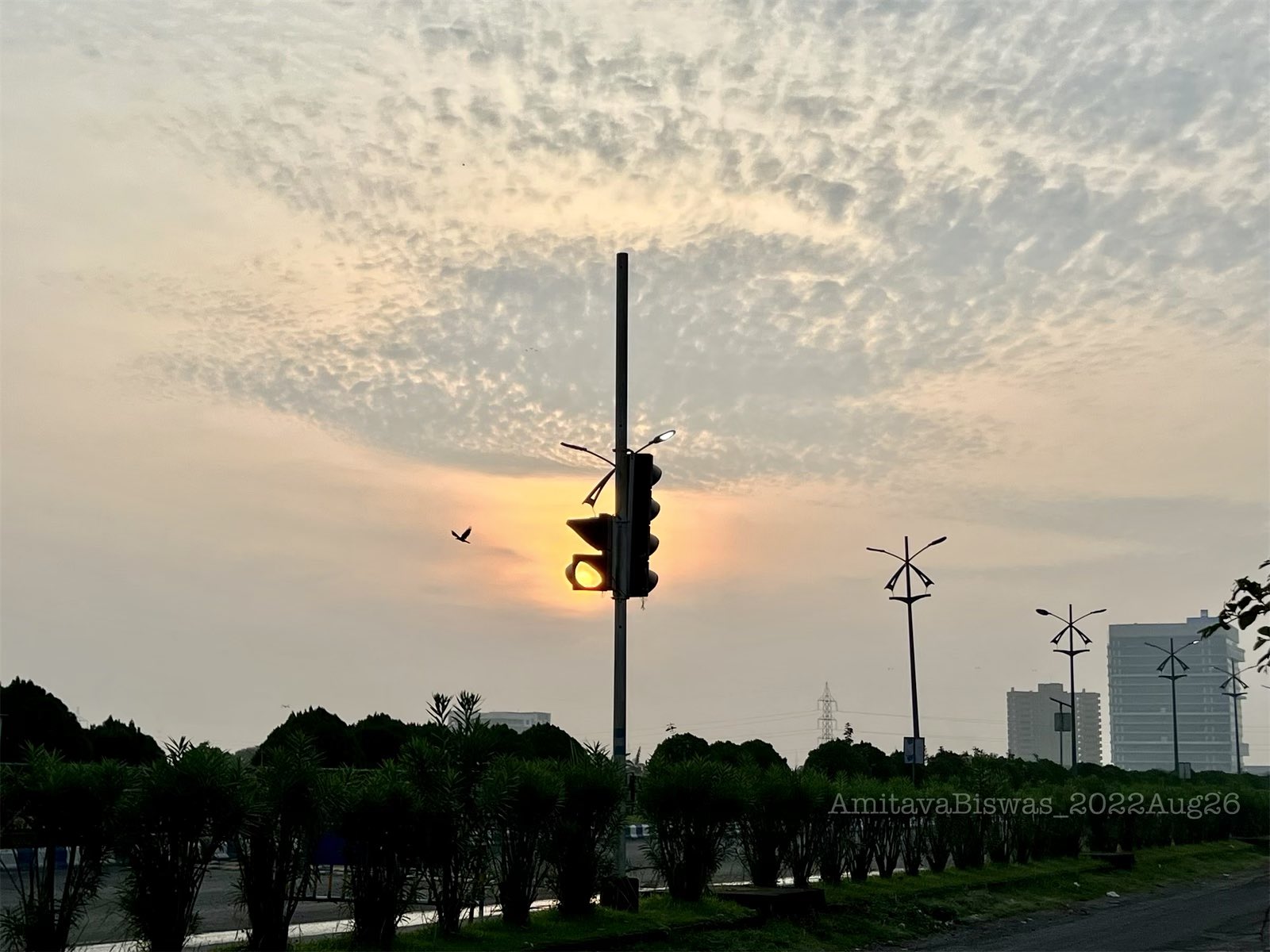 ab-on-twitter-a-broken-traffic-light-and-the-morning-sun-spotted