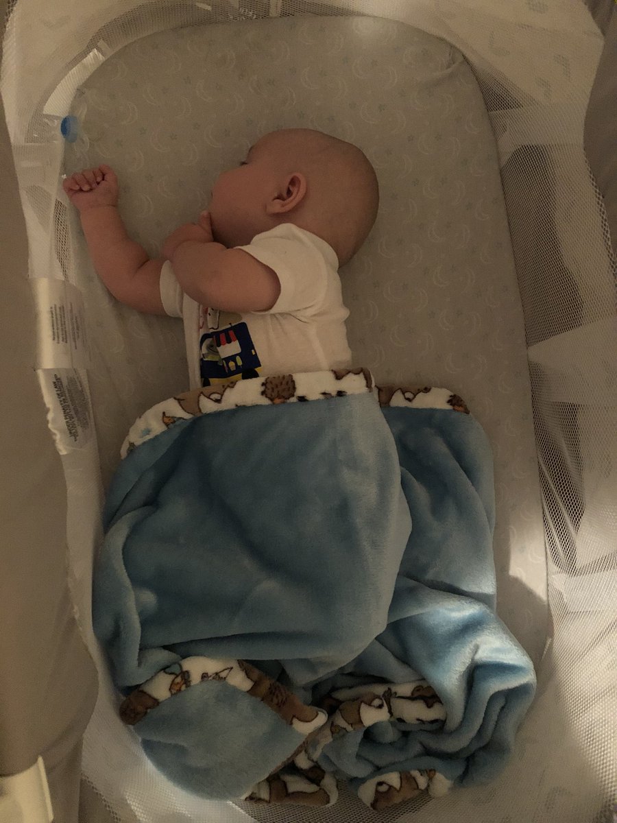 cxra_'s tweet photo. My baby is getting so big 😭😭😭😭 https://t.co/2rnNpnoRKy