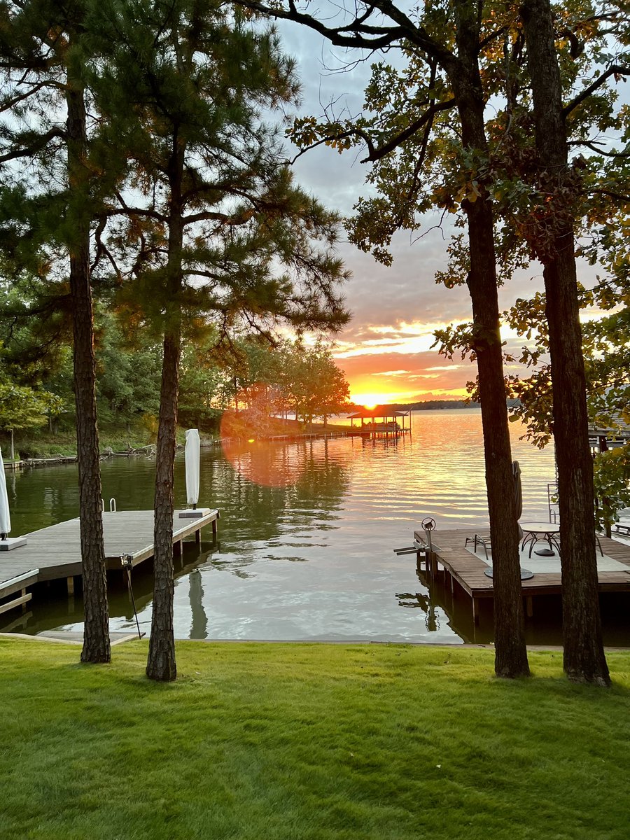 Connor O. Roe tweet media