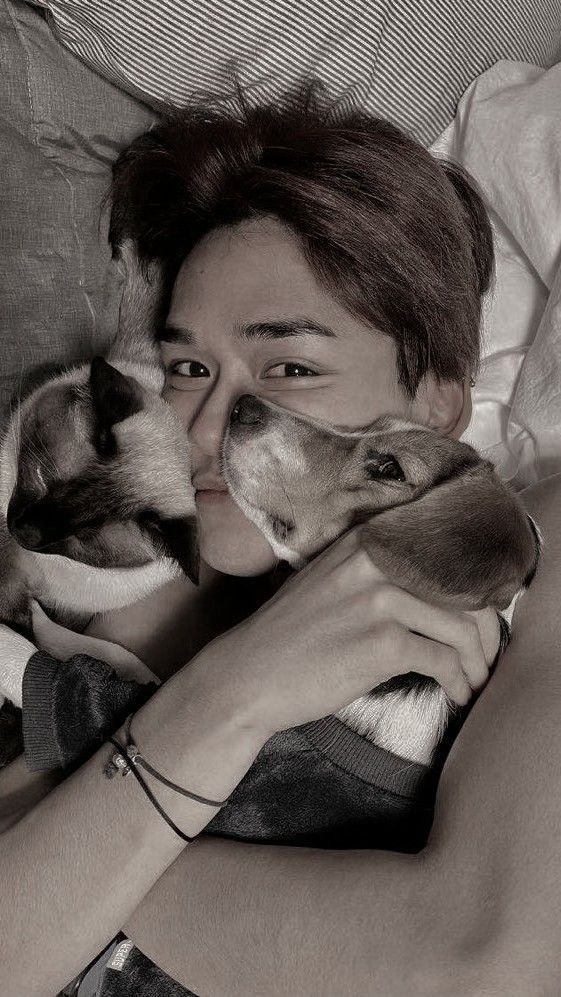 HayllaExoL1485's tweet photo. Quero que ele saiba que estamos aqui esperando ele com o coração aberto cheio de amor, queremos ele todo feliz, nos contagiando com sua alegria, sua simplicidade, com aquele sorriso lindo q só ele tem.💚💚
LUCAS WE LOVE YOU 
#LUCAS #WhereIsLucas #LucasWeLoveYou #1yearwithoutLu https://t.co/CRb9S9vujw