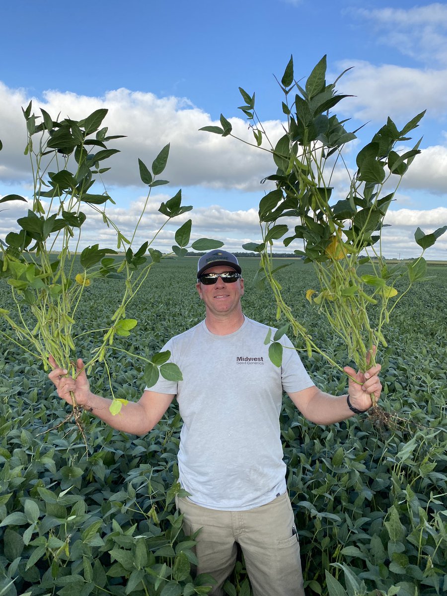 Schuster Seed tweet media