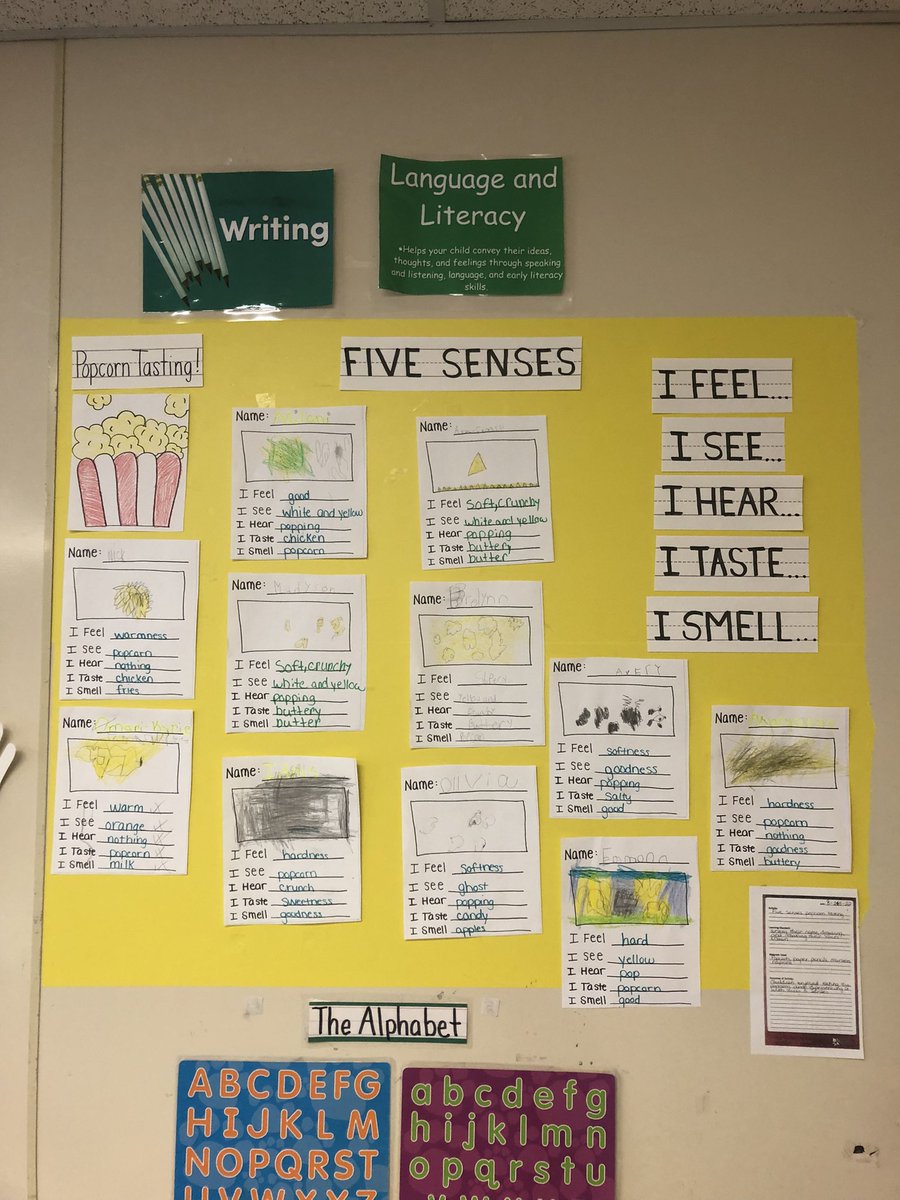 Lauren Ehrlich tweet media