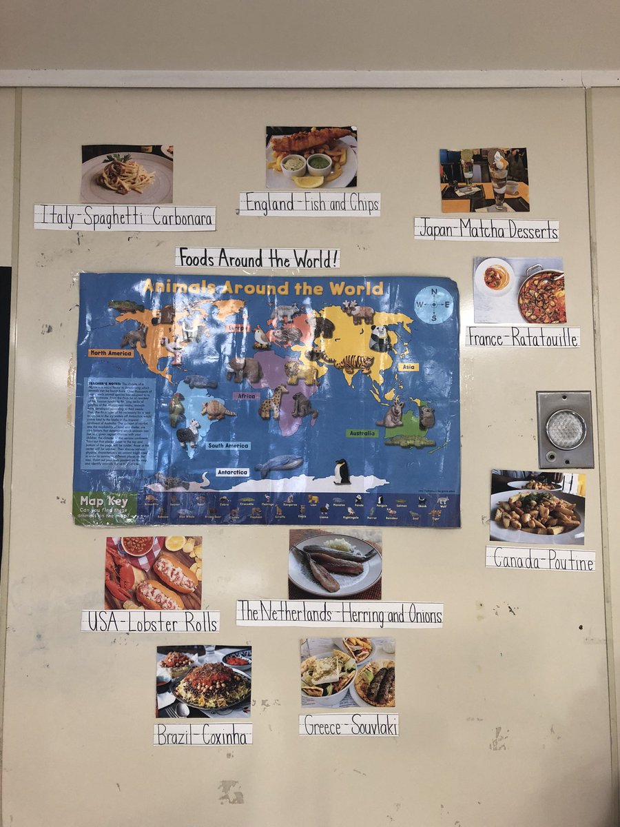 Lauren Ehrlich tweet media