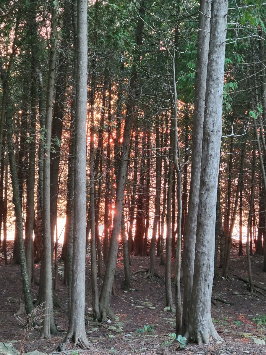 ghtribvargo's tweet photo. @UpperPeninsula Sunset at Fayette State Park https://t.co/o2B06JbEAh