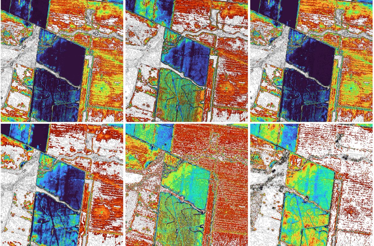 Ben Boughton tweet media