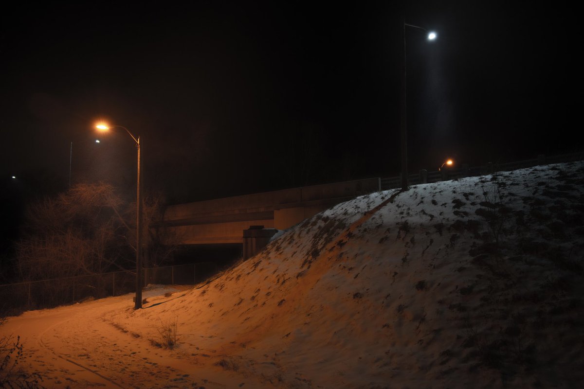 Cowboy the Terrible tweet media