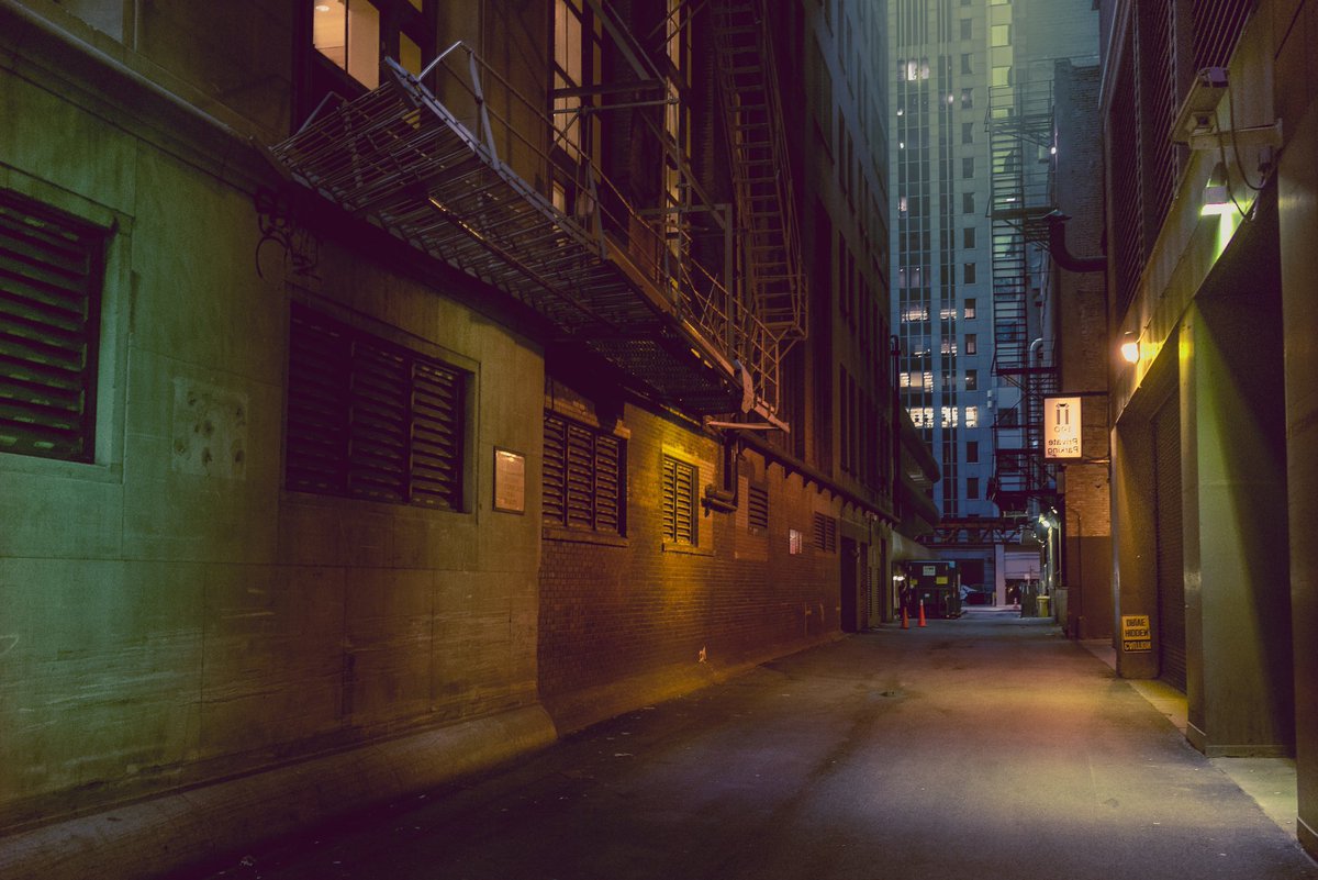 Cowboy the Terrible tweet media