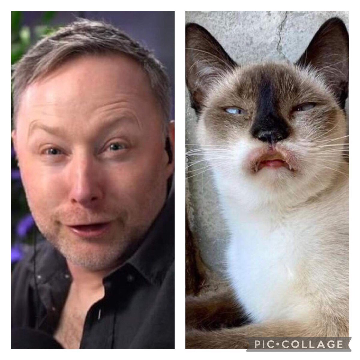 SedgeWilson's tweet photo. @DaftLimmy https://t.co/xxOoM7S09O