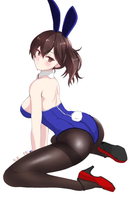 加賀さんうさぎ 