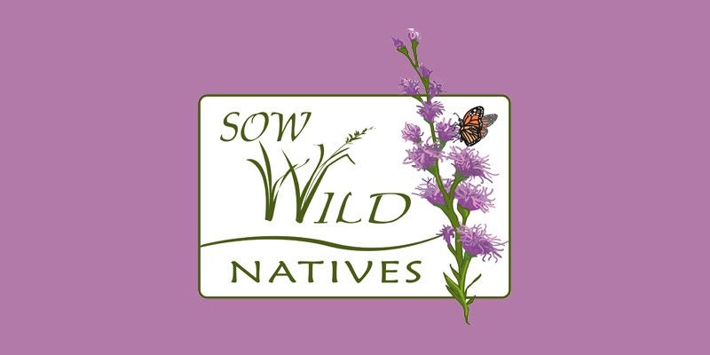 PlanItNative's tweet photo. Sponsor Highlight 🫶 Sow Wild Natives provides high-quality, regional native plants to add function and beauty to yards and greenspaces throughout the KC region. 🌼  See them at Plan It Native's Opening Celebration and exhibit hall! 🦋

Register today @ https://t.co/Mbl5OGu2KI https://t.co/BA0fJsKxax