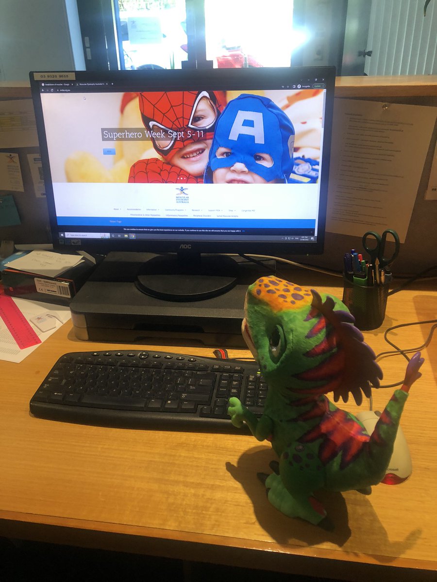 MDAust's tweet photo. Thank you @Hasbro for the fantastic giveaway prizes for Superhero Week. Petri the dinosaur went straight to work to learn all about muscular dystrophy and check who's been signing up and raising funds to be in the draw! 🤩💚 #SHW22 https://t.co/fRC3Uald1d